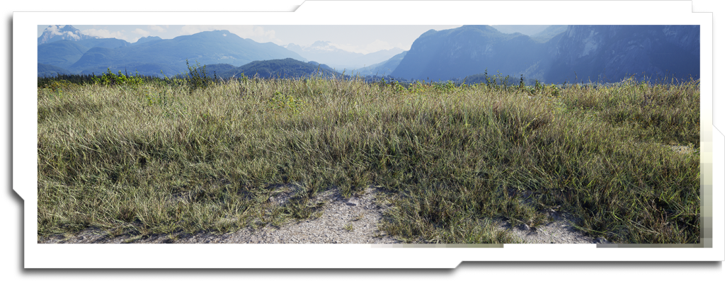 Early versions of the tool used a CSV file to transfer the data between Houdini and Unreal. This is the grass scatter example combined with vegetation sprites and an HDRI captured at the Squamish spit (before it was demolished).