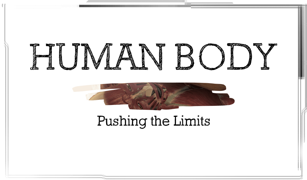 HumanBody 0017