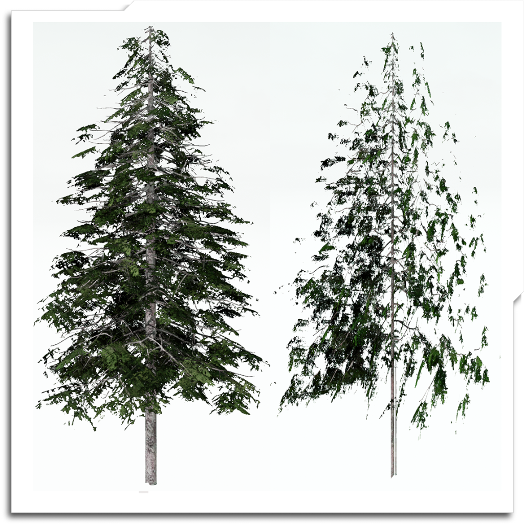 This experiment splits up a tree into 8 atlased billboards. The field of view is limited to around 90deg, but the results are promising, and (apart from the overdraw) quite efficient.