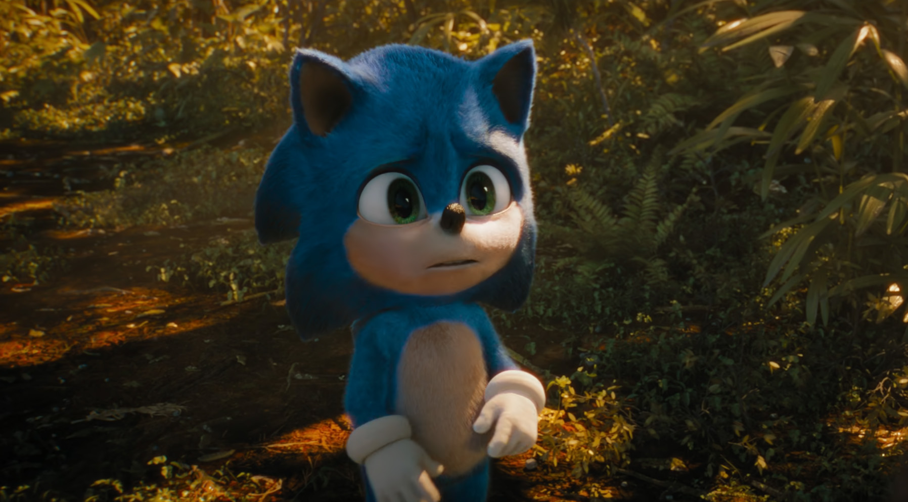 Sonic The Hedgehog